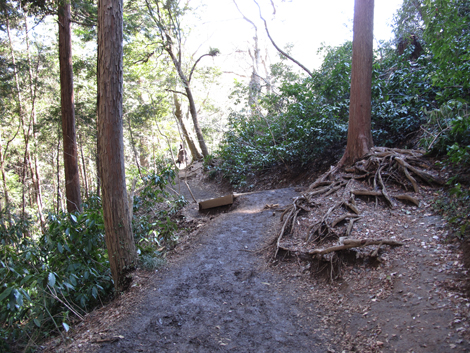 20160226hike (153)